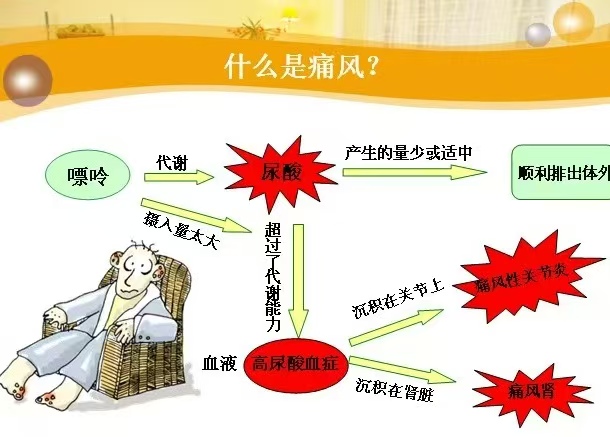 微信图片_2025-04-19_191921_240.jpg