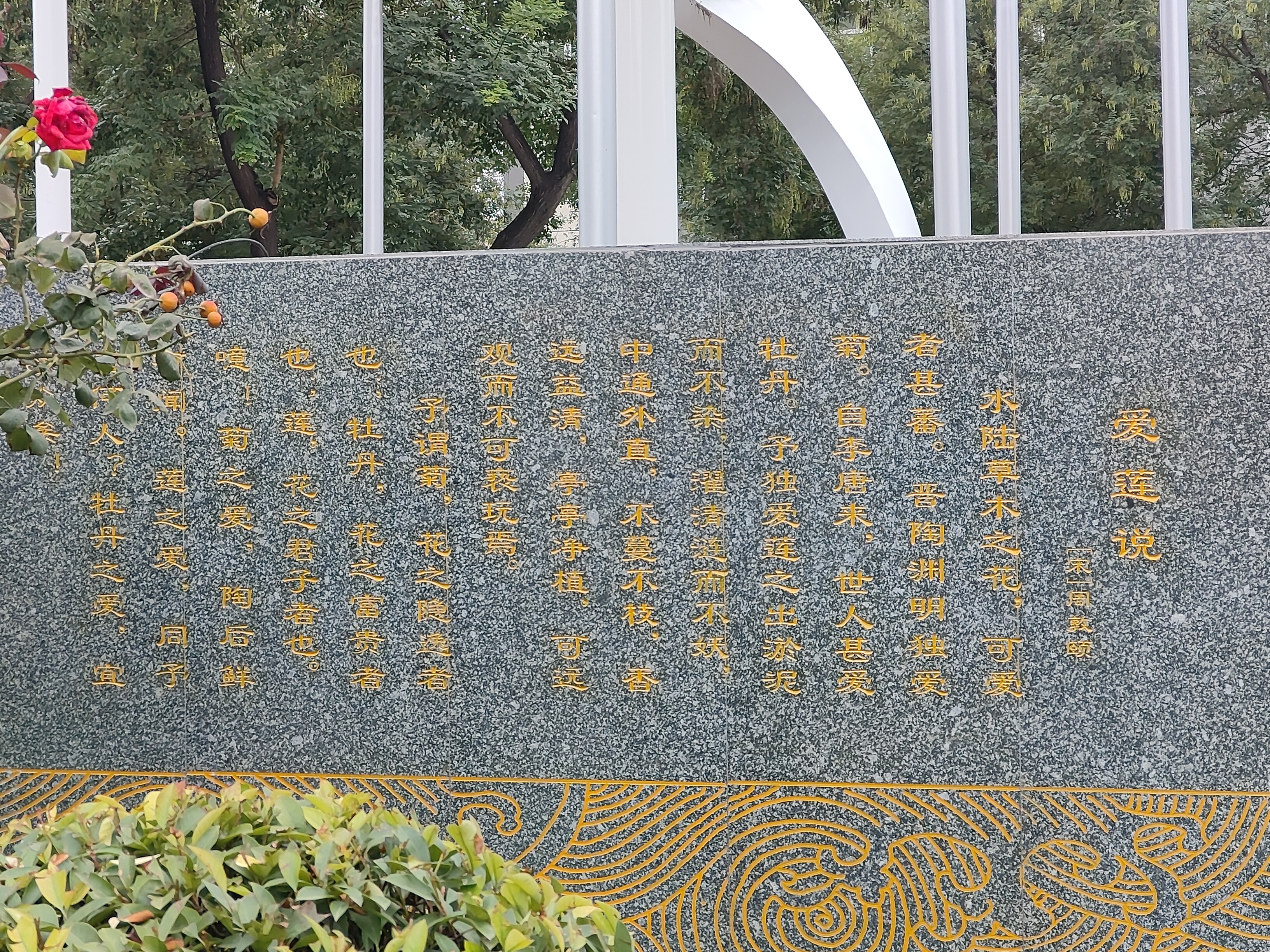 微信图片_20251010081231_199_134.jpg